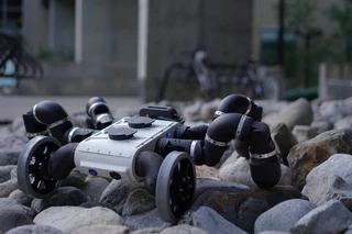 EigenBot full limb platform